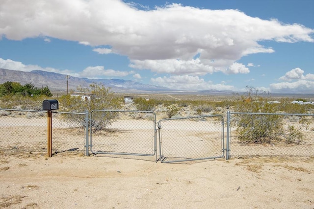 5655 Last Mile Rd, Johnson Valley, CA 92285 - view of yard featuring a gate and a mountain view