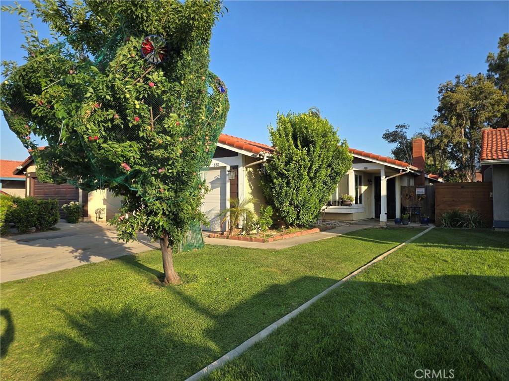 1888 Union St, Colton, CA 92324 - back of property with a tiled roof, concrete driveway, and stucco siding