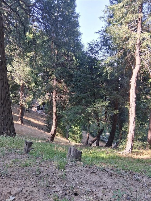 61 Evergreen Dr, Cedarpines Park, CA 92322