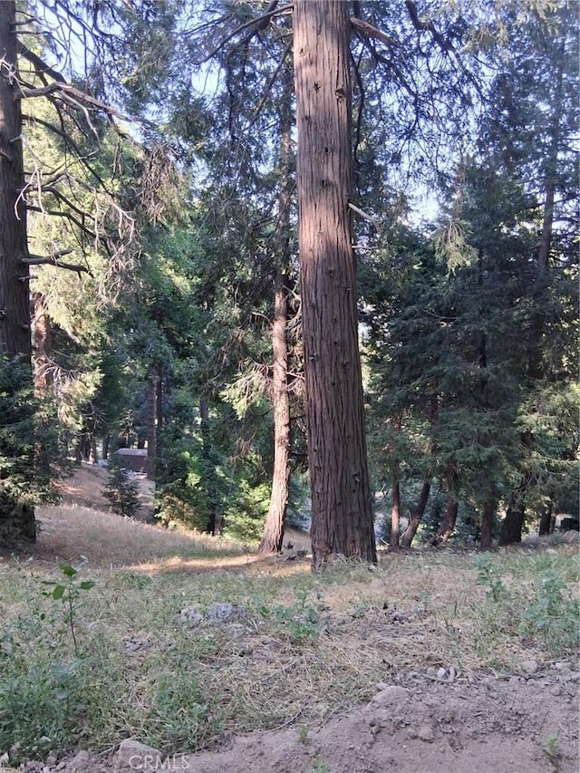 61 Evergreen Dr, Cedarpines Park, CA 92322