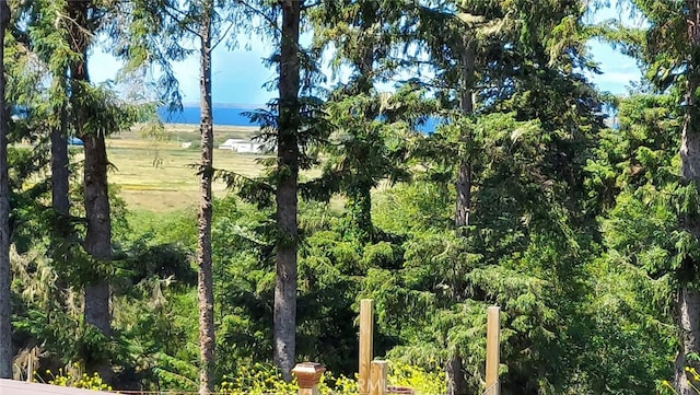 1020 Alpha St, Eureka, CA 95503 - view of local wilderness featuring a large body of water