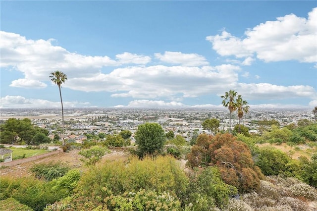 25908 Matfield Dr, Torrance, CA 90505 - photo 31