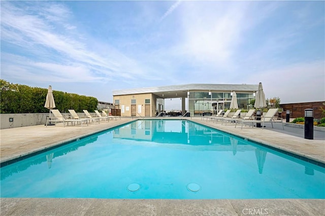 3785 Wilshire Blvd Unit 1605, Los Angeles, CA 90010 - community pool featuring a patio
