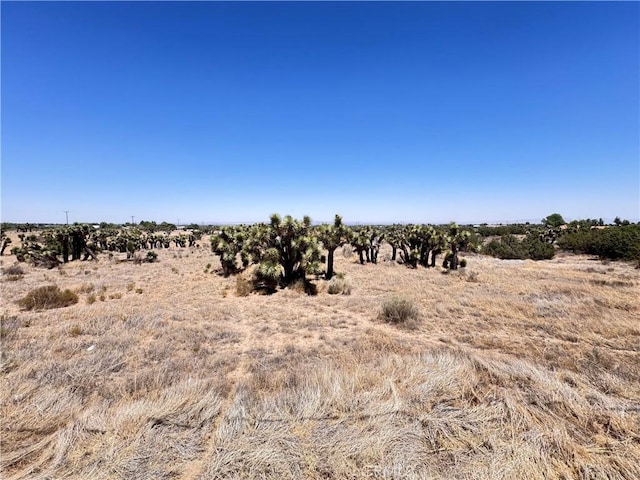 0 Sunnyslope Rd, Phelan, CA 92371 - photo 13