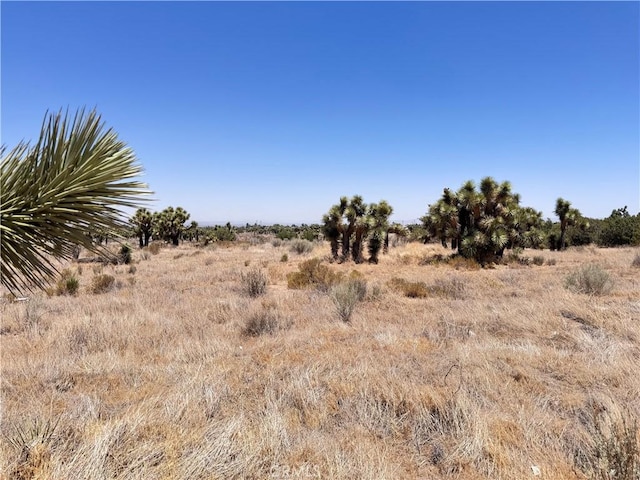 0 Sunnyslope Rd, Phelan, CA 92371 - photo 11