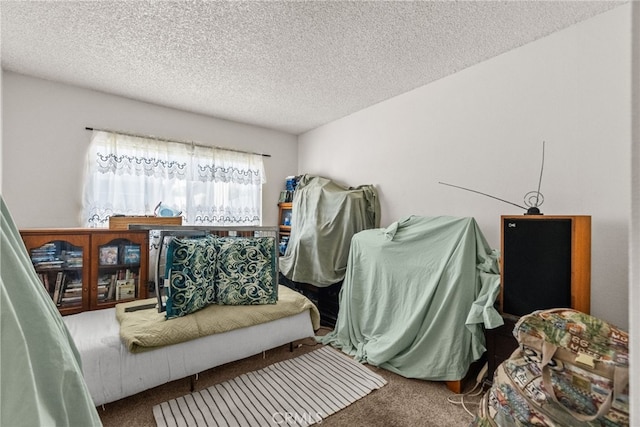 9740 Sepulveda Blvd Unit 20, North Hills, CA 91343 - miscellaneous room with carpet and a textured ceiling