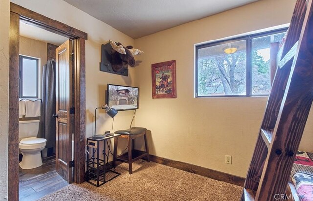 43560 Bow Canyon Rd, Big Bear Lake, CA 92315 - photo 30