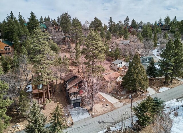43560 Bow Canyon Rd, Big Bear Lake, CA 92315 - photo 49