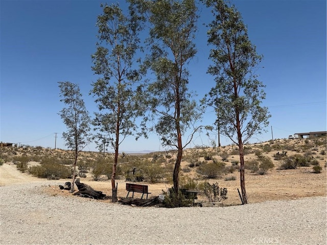 59663 Sunway Dr, Yucca Valley, CA 92284 - view of yard