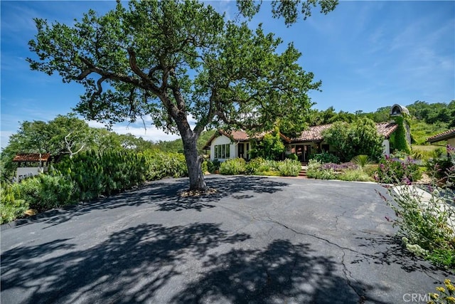 8300 San Diego Rd, Atascadero, CA 93422 - view of patio