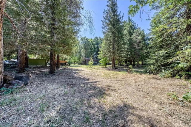 8201 W W Side Potter Valley Rd, Potter Valley, CA 95469 - view of yard