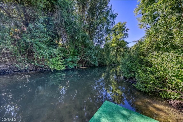 8201 W W Side Potter Valley Rd, Potter Valley, CA 95469 - water view