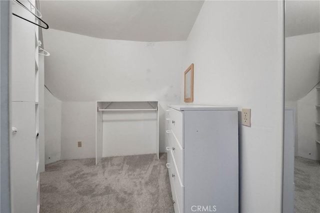 8201 W W Side Potter Valley Rd, Potter Valley, CA 95469 - walk in closet featuring light carpet