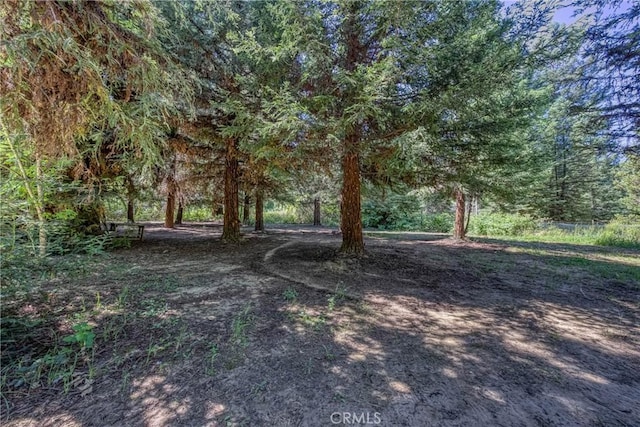 8201 W W Side Potter Valley Rd, Potter Valley, CA 95469 - view of yard