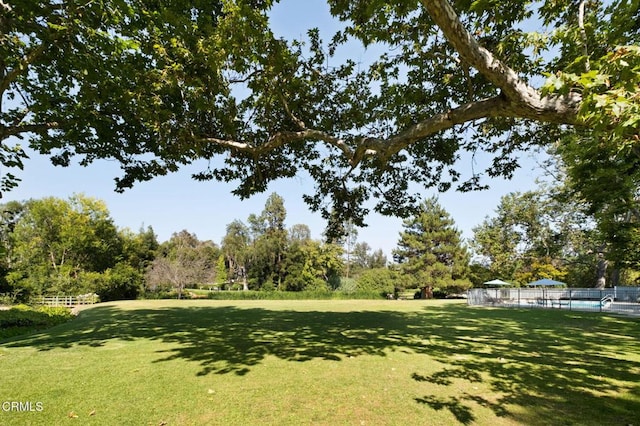 1256 Club House Dr, Pasadena, CA 91105 - photo 45