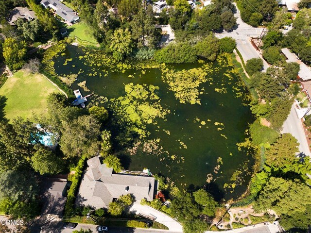 1256 Club House Dr, Pasadena, CA 91105 - photo 51