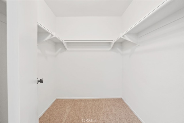 4809 Fieldbrook Ln, Cypress, CA 90630 - spacious closet featuring carpet flooring