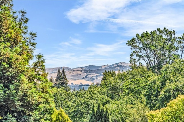 1536 Pleasant Hill Rd, Lafayette, CA 94549 - view of mountain background