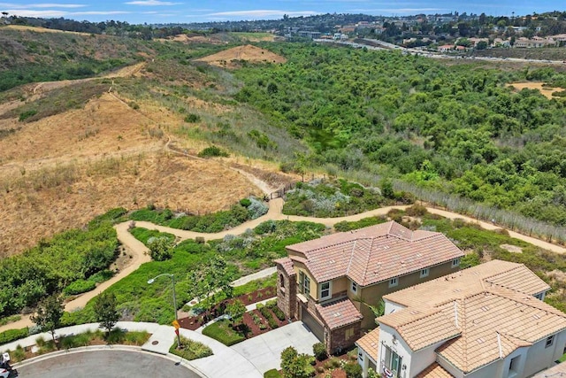 3002 Villeta Ave, Carlsbad, CA 92010 - view from above of property