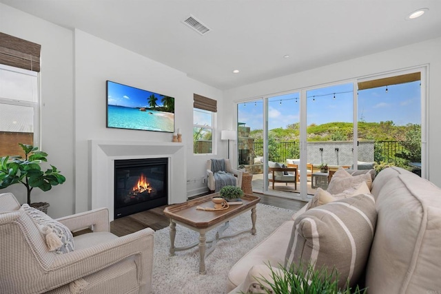 3002 Villeta Ave, Carlsbad, CA 92010 - living area with wood finished floors, a glass covered fireplace, and recessed lighting