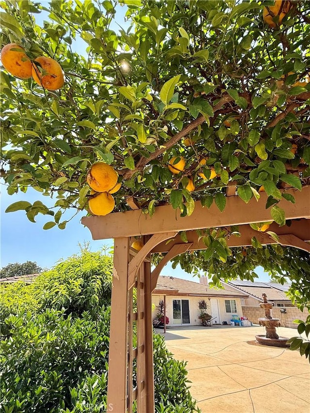 9150 Boxwood Ave, Fontana, CA 92335 - view of patio
