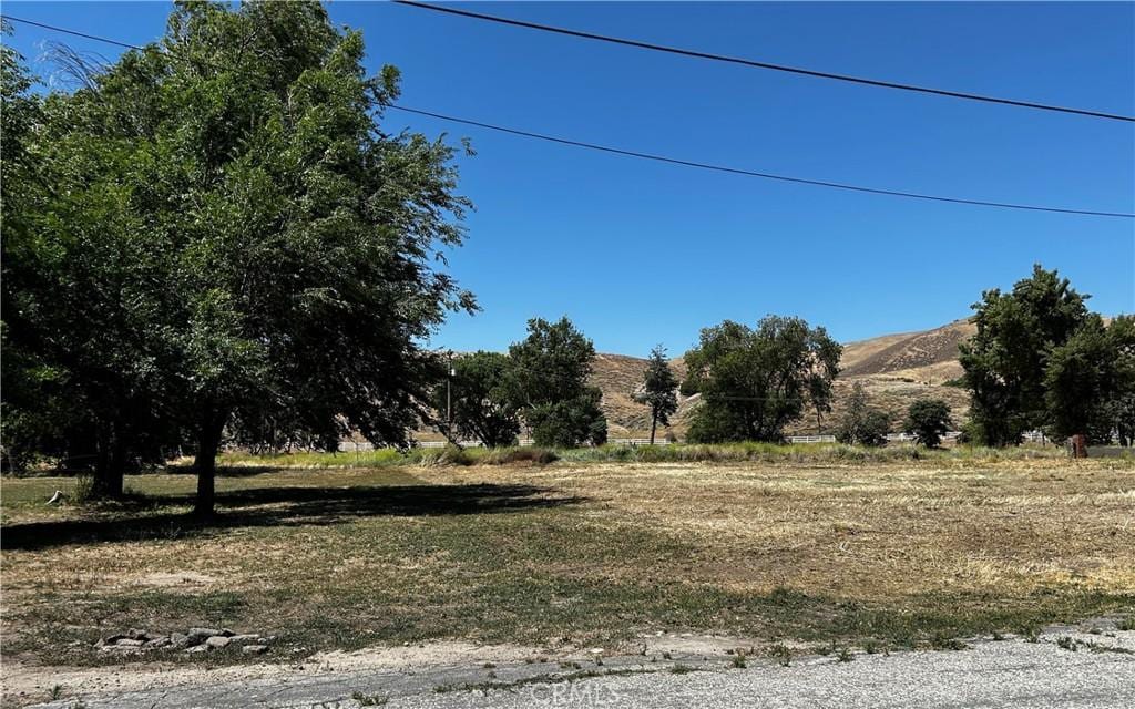 0 Ashtree Dr Unit 3225004005, Lake Hughes, CA 93532