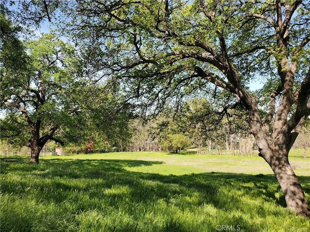 0 Chico Canyon Rd, Chico, CA 95928 - photo 7