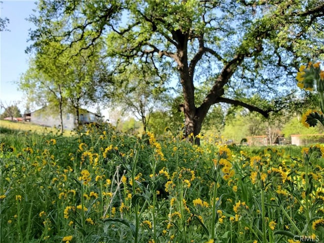 0 Chico Canyon Rd, Chico, CA 95928 - photo 12