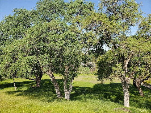 0 Chico Canyon Rd, Chico, CA 95928 - photo 8