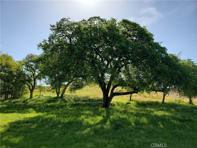 0 Chico Canyon Rd, Chico, CA 95928 - photo 10