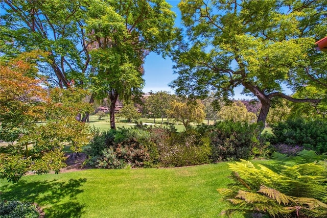 31214 W Nine Dr, Laguna Niguel, CA 92677 - view of grassy yard featuring view of scattered trees