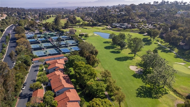 31214 W Nine Dr, Laguna Niguel, CA 92677 - bird's eye view of a local golf course and a large body of water
