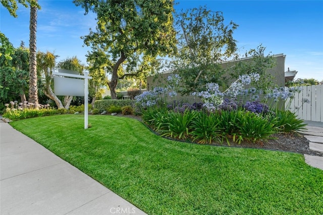 6207 Capistrano Ave, Woodland Hills, CA 91367 - view of yard