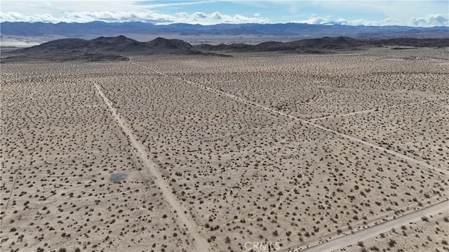 66220 Sonora Rd, Joshua Tree, CA 92252 - photo 10