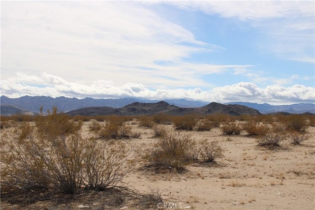 66220 Sonora Rd, Joshua Tree, CA 92252 - photo 5