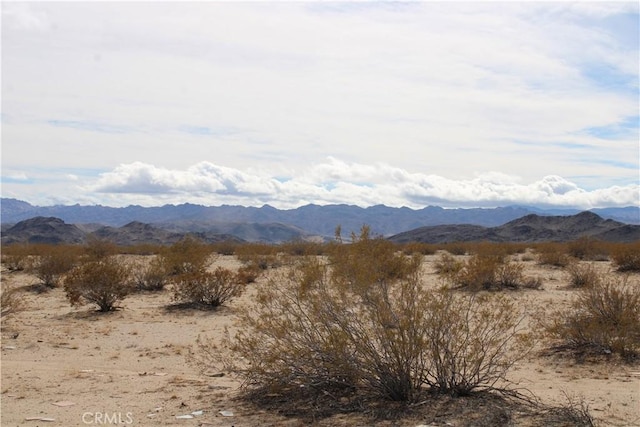 66220 Sonora Rd, Joshua Tree, CA 92252 - photo 7