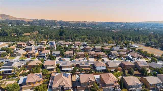2168 Stonewood St, Mentone, CA 92359 - photo 41