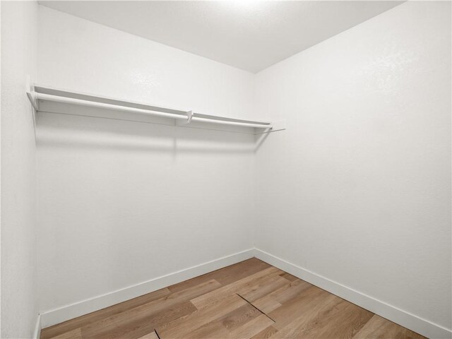 3236 W Browning Ave, Fresno, CA 93711 - walk in closet featuring light wood-type flooring