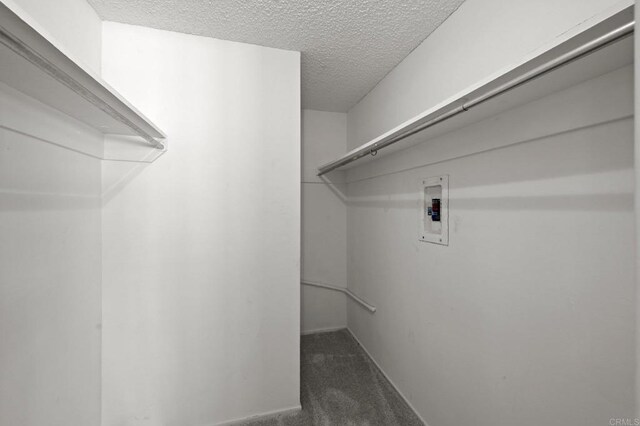 7000 Saranac St Unit 2, La Mesa, CA 91942 - photo 22