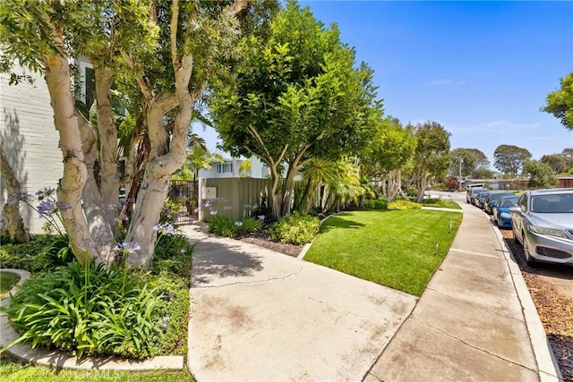 503 Saint Andrews Rd Unit E, Newport Beach, CA 92663 - view of yard