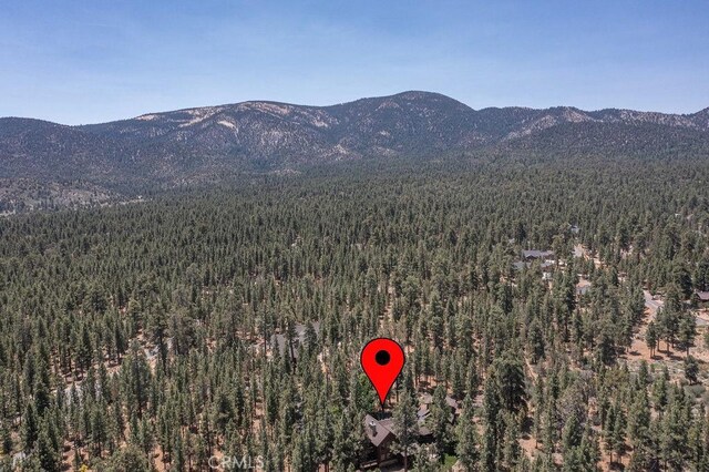 915 Wilderness Dr, Big Bear City, CA 92314 - photo 74