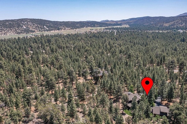 915 Wilderness Dr, Big Bear City, CA 92314 - photo 73