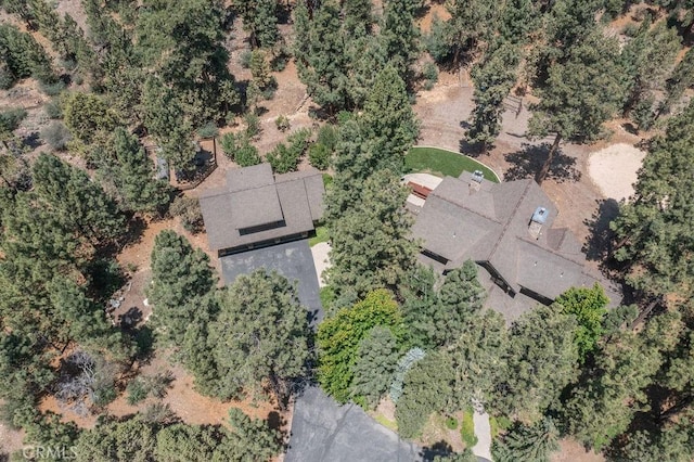 915 Wilderness Dr, Big Bear City, CA 92314 - photo 70