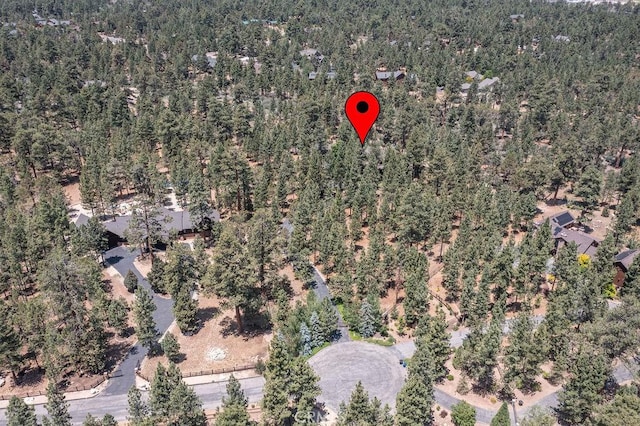 915 Wilderness Dr, Big Bear City, CA 92314 - photo 71