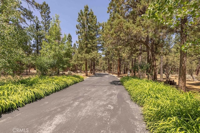 915 Wilderness Dr, Big Bear City, CA 92314 - photo 65