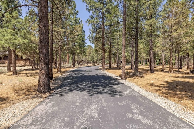 915 Wilderness Dr, Big Bear City, CA 92314 - photo 66