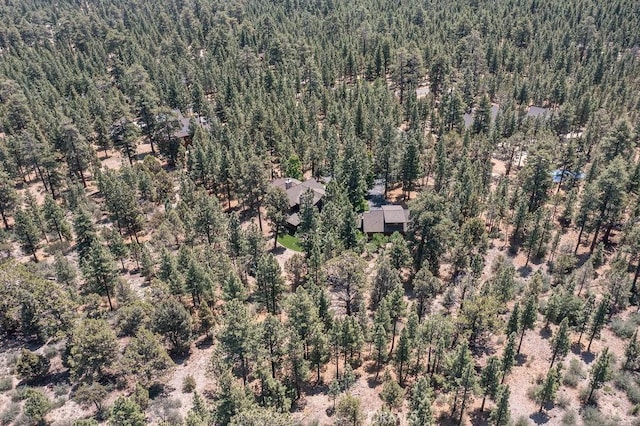 915 Wilderness Dr, Big Bear City, CA 92314 - photo 72