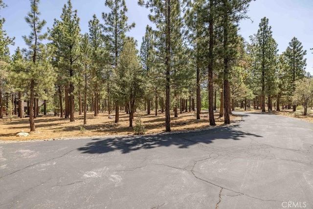 915 Wilderness Dr, Big Bear City, CA 92314 - photo 67
