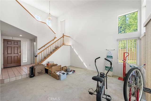 39513 Daylily Pl, Palmdale, CA 93551 - exercise area featuring a high ceiling and carpet floors