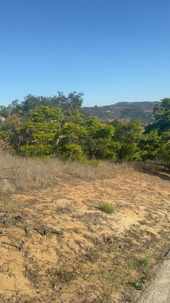 Palos Verdes Dr, Escondido, CA 92026 - photo 28